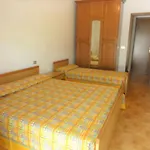 Auriga Apartament *
