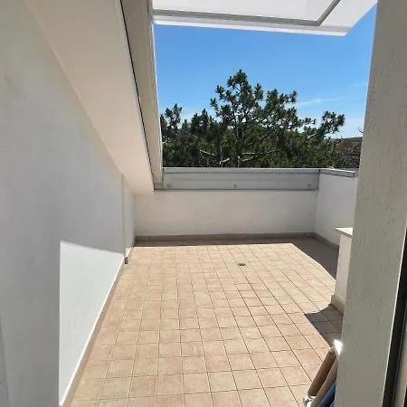 Auriga Apartman *