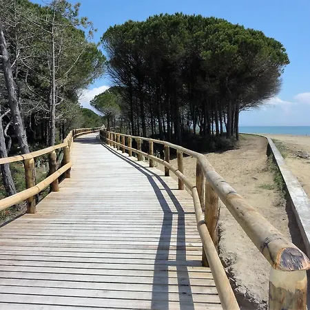 Auriga Bibione